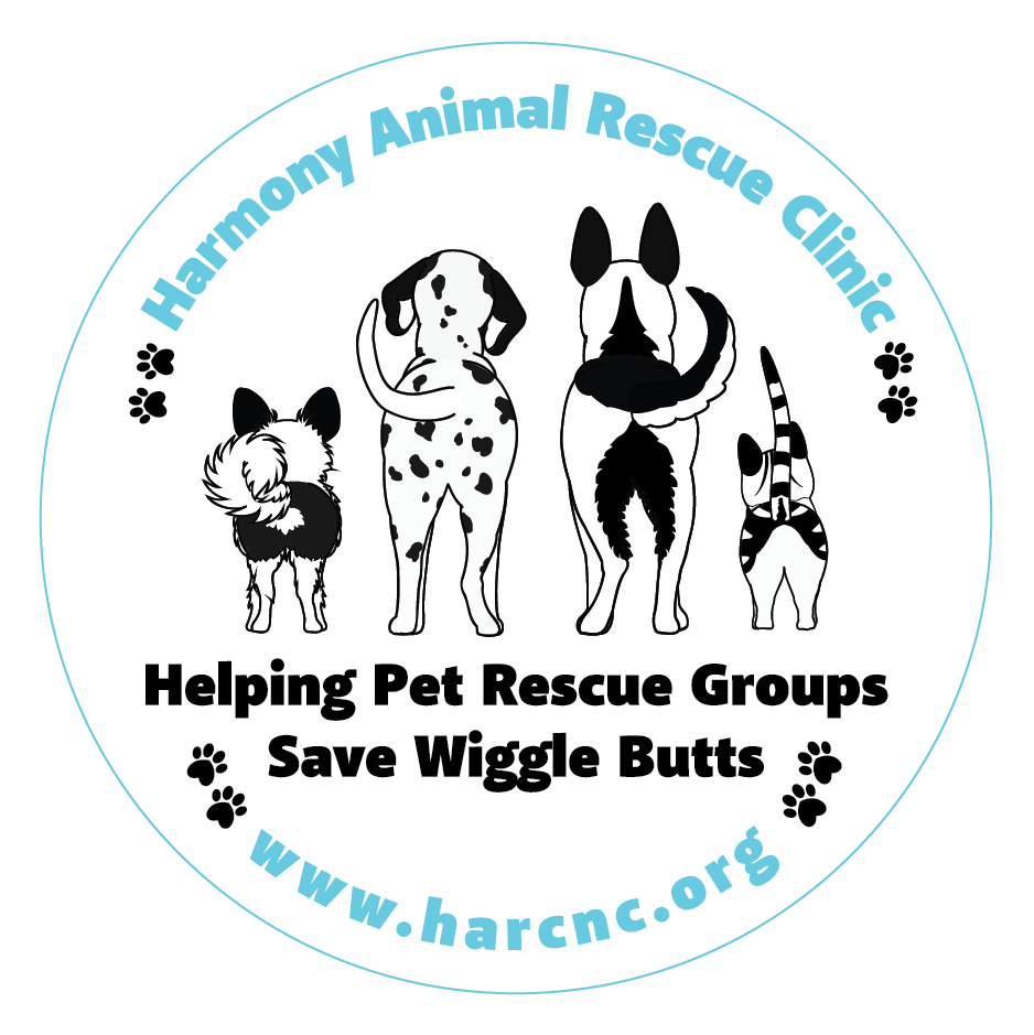 Helping Pet Rescue Groups Save Wiggle Butts