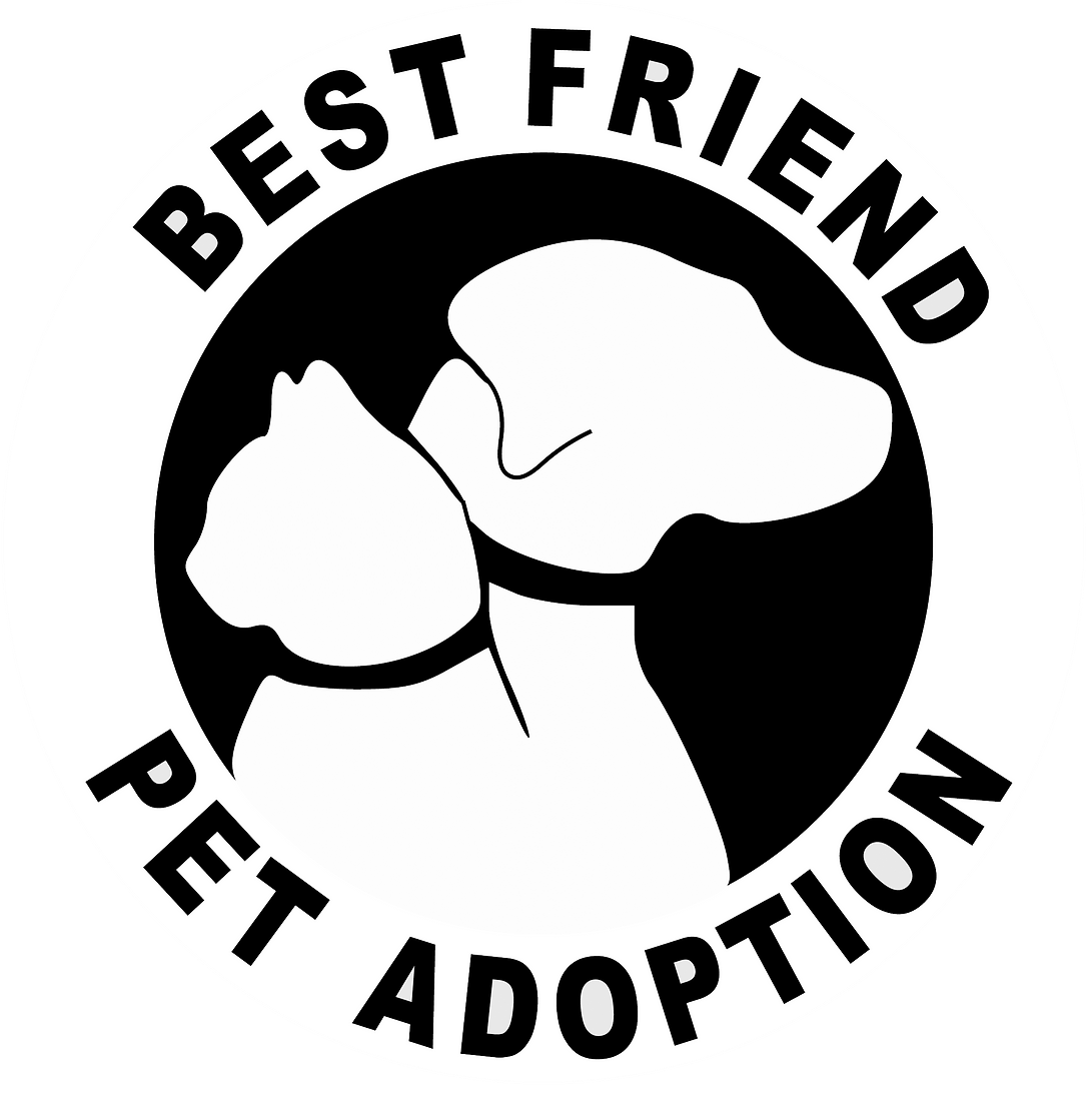 Best Friend Pet Adoption