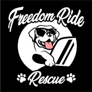 Freedom Ride Logo