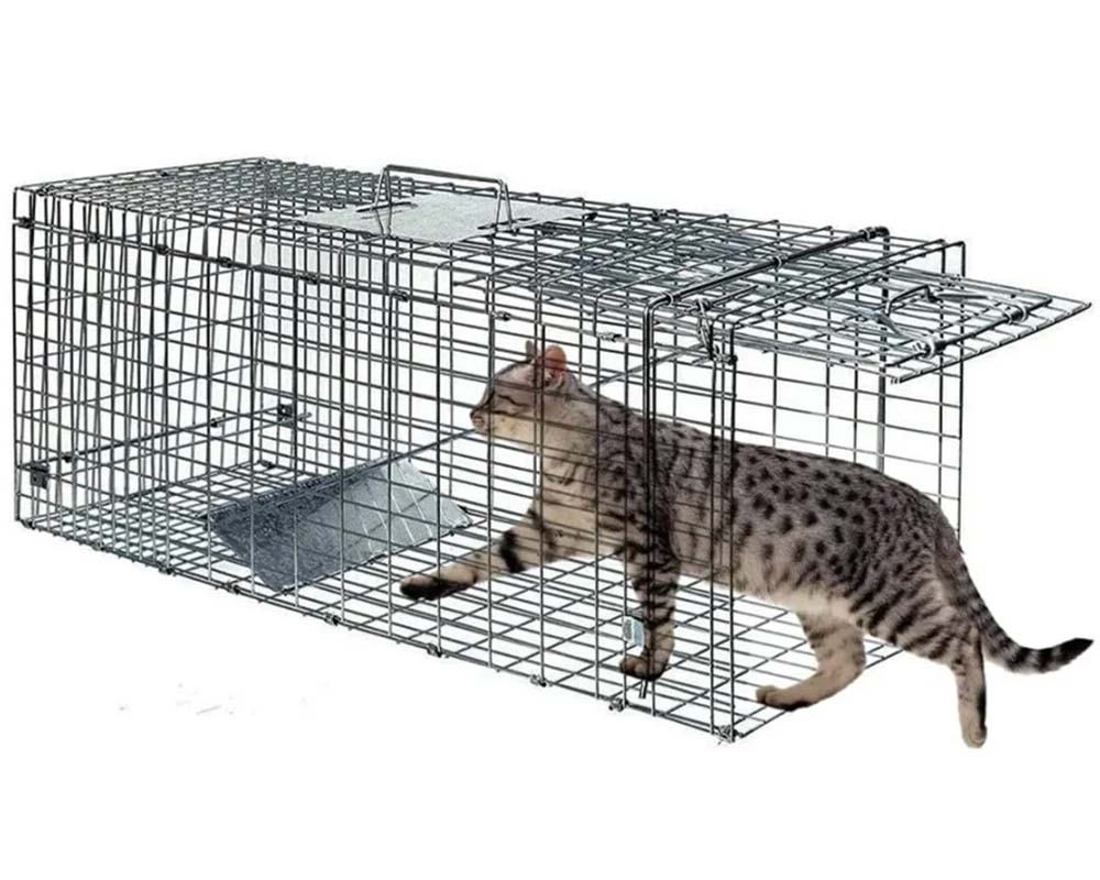 Approved Feral Cat Trap