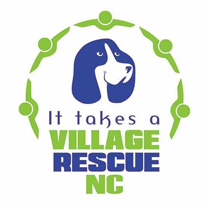 it takes a village rescue