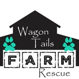 Triangle Beagle Rescue